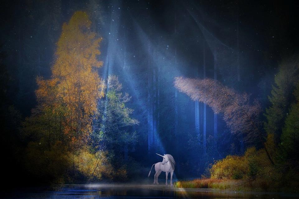 The Unicorn jigsaw puzzle